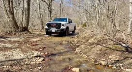 Image 3-17-25 at 9.07 PM.webp