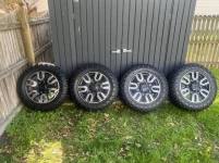 fullsizeoutput_224.webp
