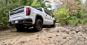 Photo contest thumbnail