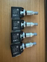 tpms2.webp