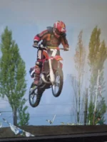 1718155934825606549062061210741.webp