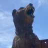Air Bear
