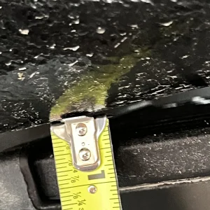 IMG_3757.jpeg