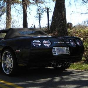 DSCN5355.webp