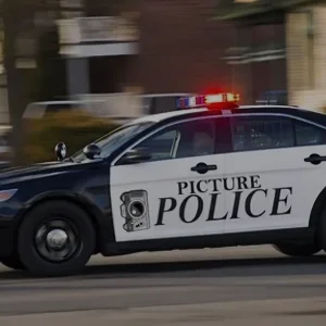 Popo.webp