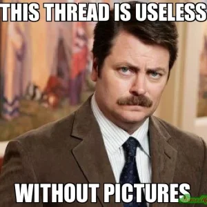this-thread-is-useless-without-pictures-meme-9253-jpg-608035138.1014953.webp