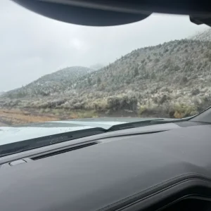 IMG_6946.webp