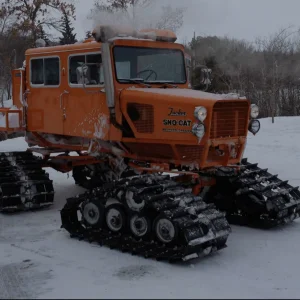 Snowcat.webp
