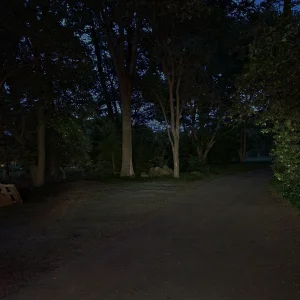 Stcok-backuplights.png