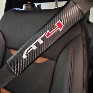 seat belt.jpg