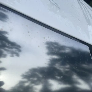 IMG_6316.jpeg