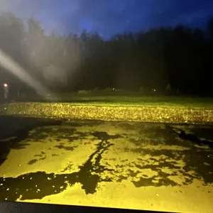 Media 'IMG_8741.jpeg' in category 'GMC SIERRA 1500 AT4 Modifications'