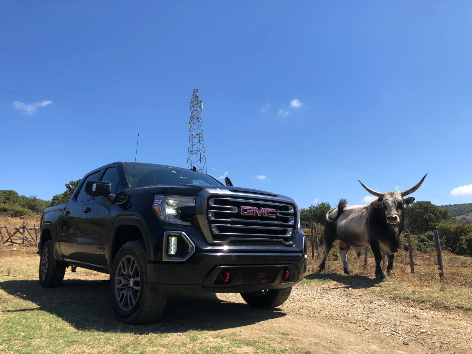 Bull @ CV Farm.png | GMC AT4 Forum