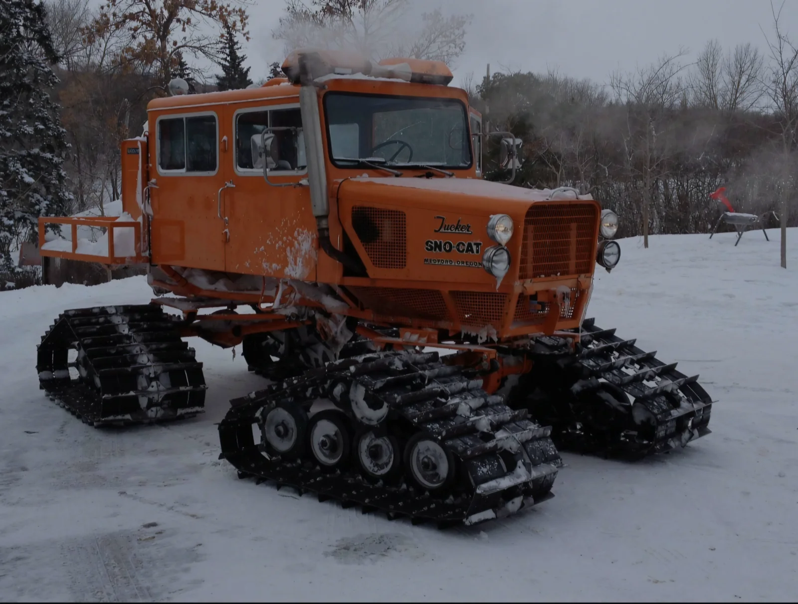 Snowcat.webp