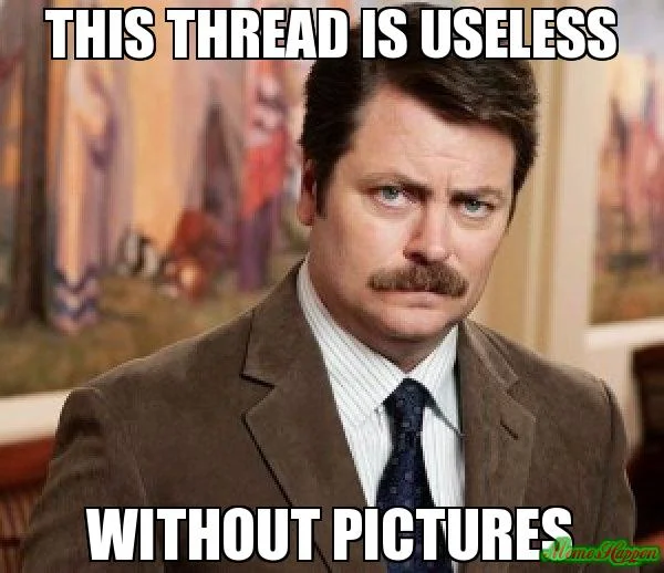 this-thread-is-useless-without-pictures-meme-9253-jpg-608035138.1014953.webp